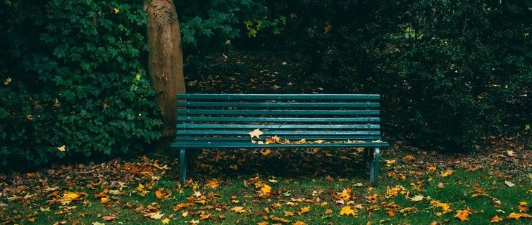 Picture of a bench in nature