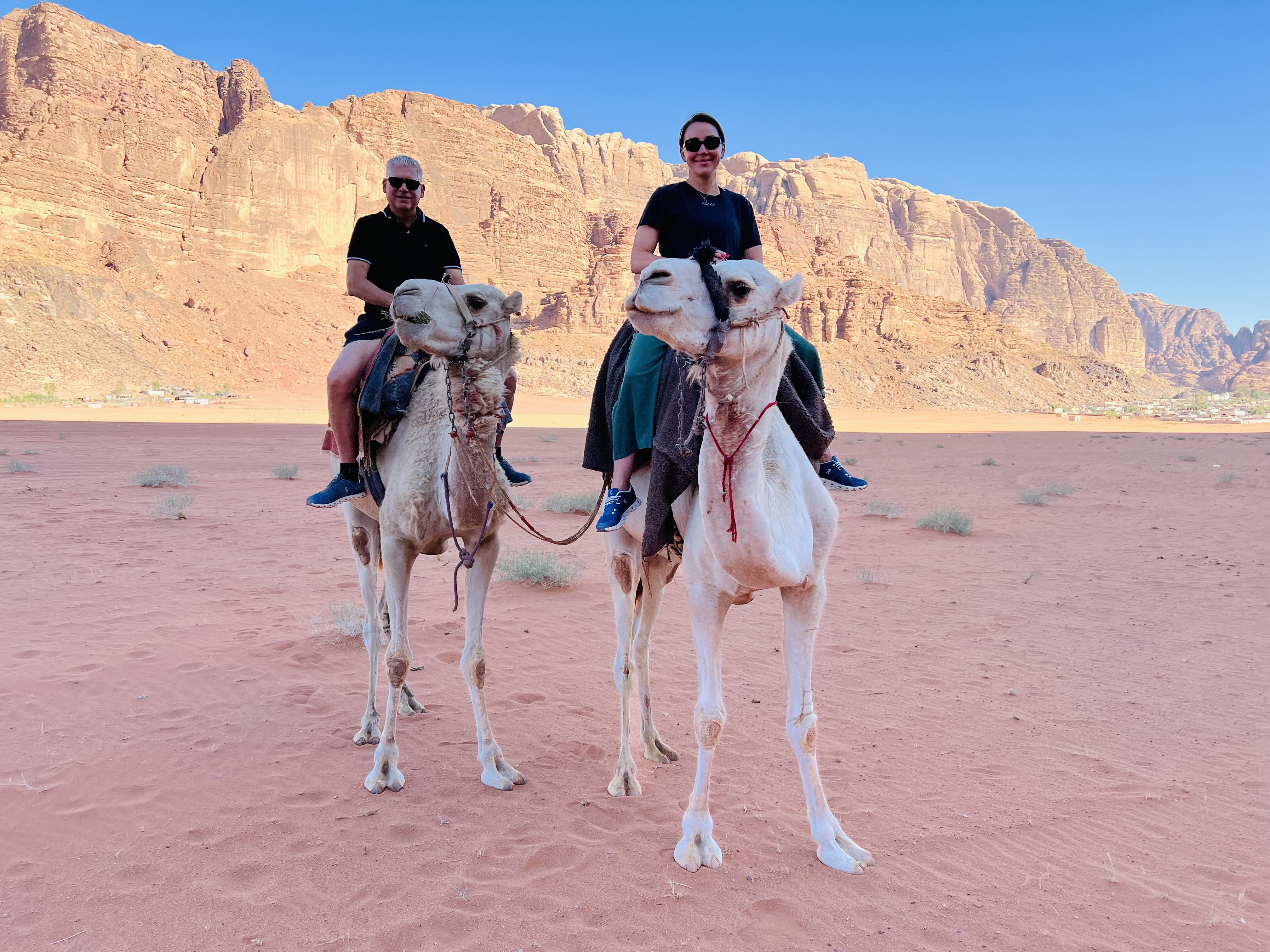 Wadi Rum Camels through the desert Kristi Riggs and Armin Seifart